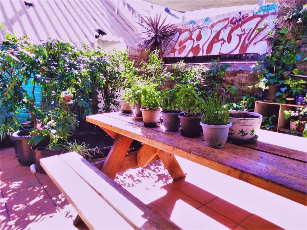 Asylum Sydney Backpackers Hostel Ngoại thất bức ảnh