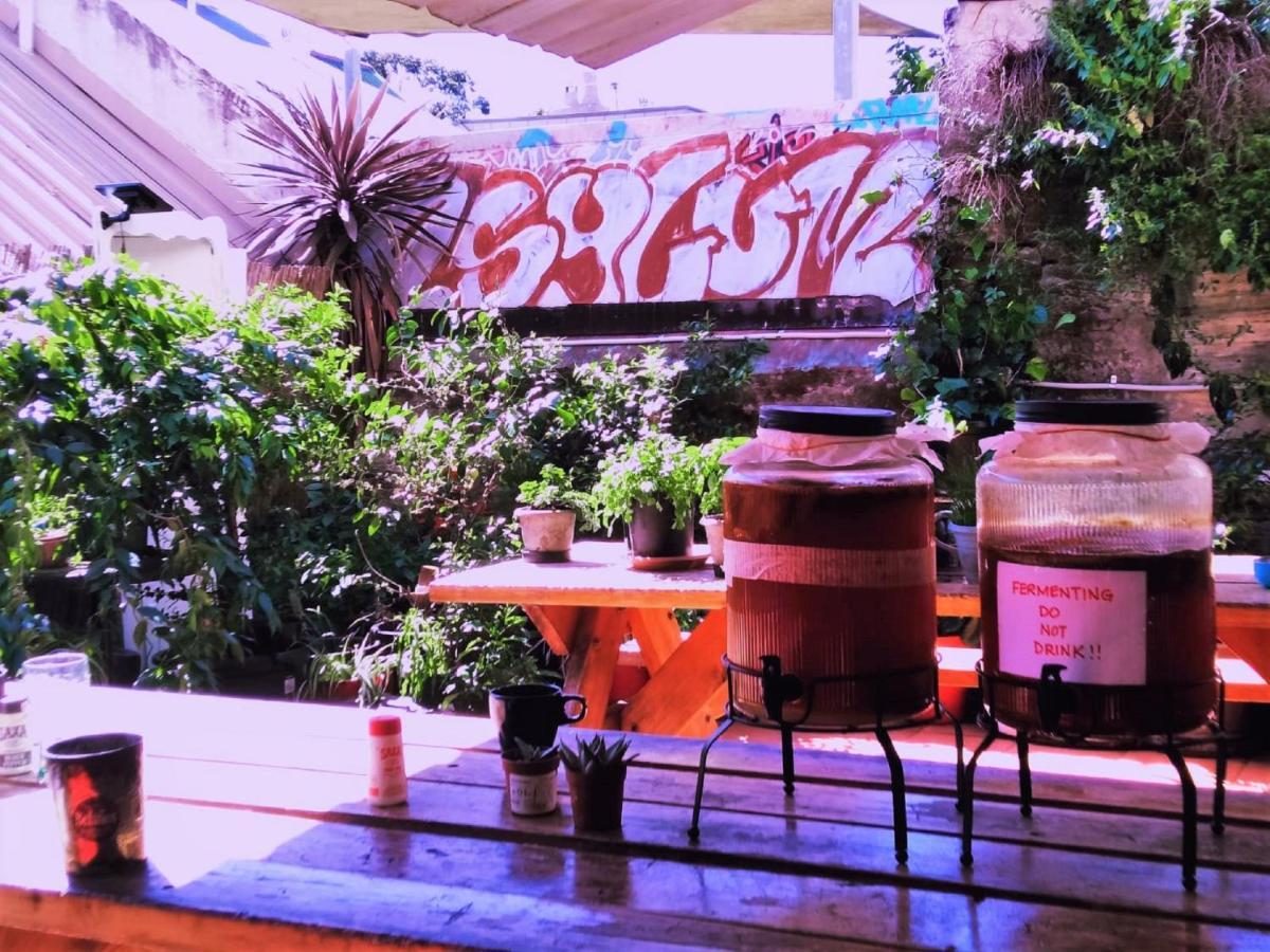 Asylum Sydney Backpackers Hostel Ngoại thất bức ảnh
